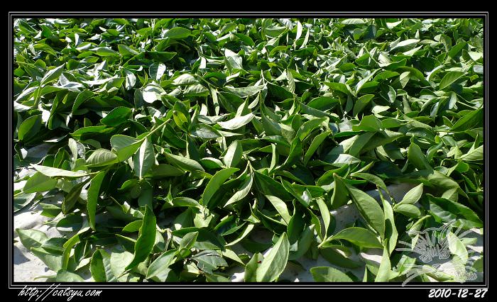 20241110-4zua1 20241110-4zua1