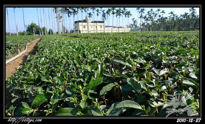 20241110-7u6mr 20241110-7u6mr