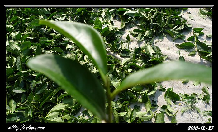 20241110-b44yz 20241110-b44yz