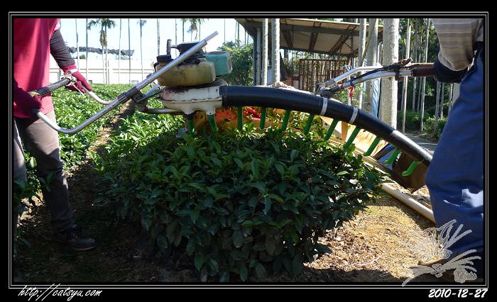 20241110-bkehs 20241110-bkehs