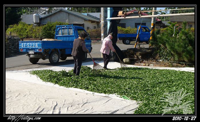 20241110-msmyo 20241110-msmyo