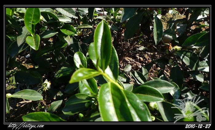 20241110-oixcu 20241110-oixcu