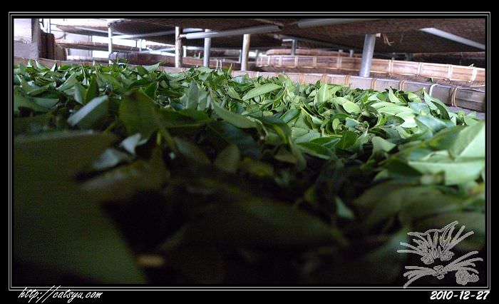 20241110-pj4nh 20241110-pj4nh