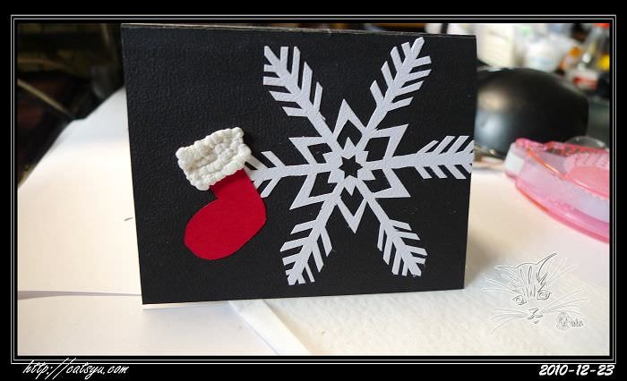 20241110-px4le 20241110-px4le