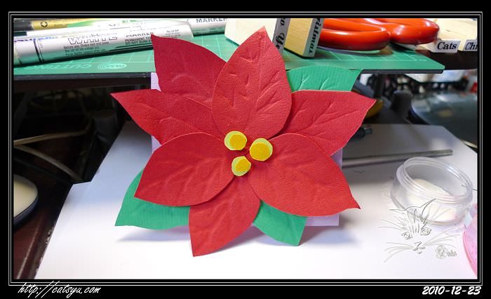 20241110-svn7y 20241110-svn7y