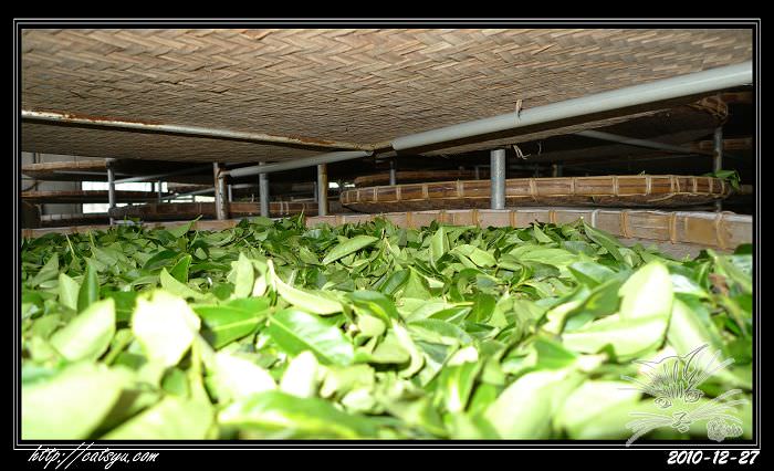 20241110-uza4f 20241110-uza4f