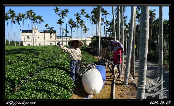 20241110-wwd7e 20241110-wwd7e