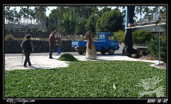 20241110-xewzs 20241110-xewzs