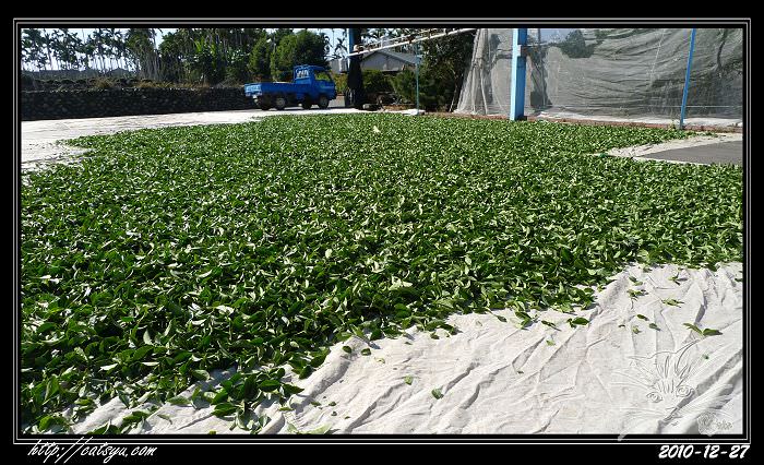 20241110-ybr8c 20241110-ybr8c