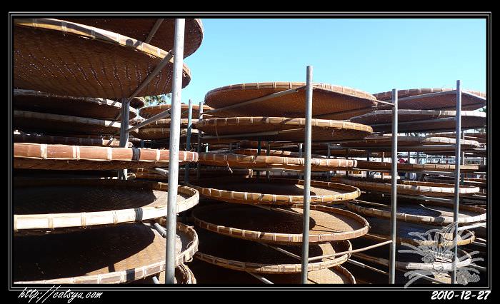 20241110-yncd1 20241110-yncd1