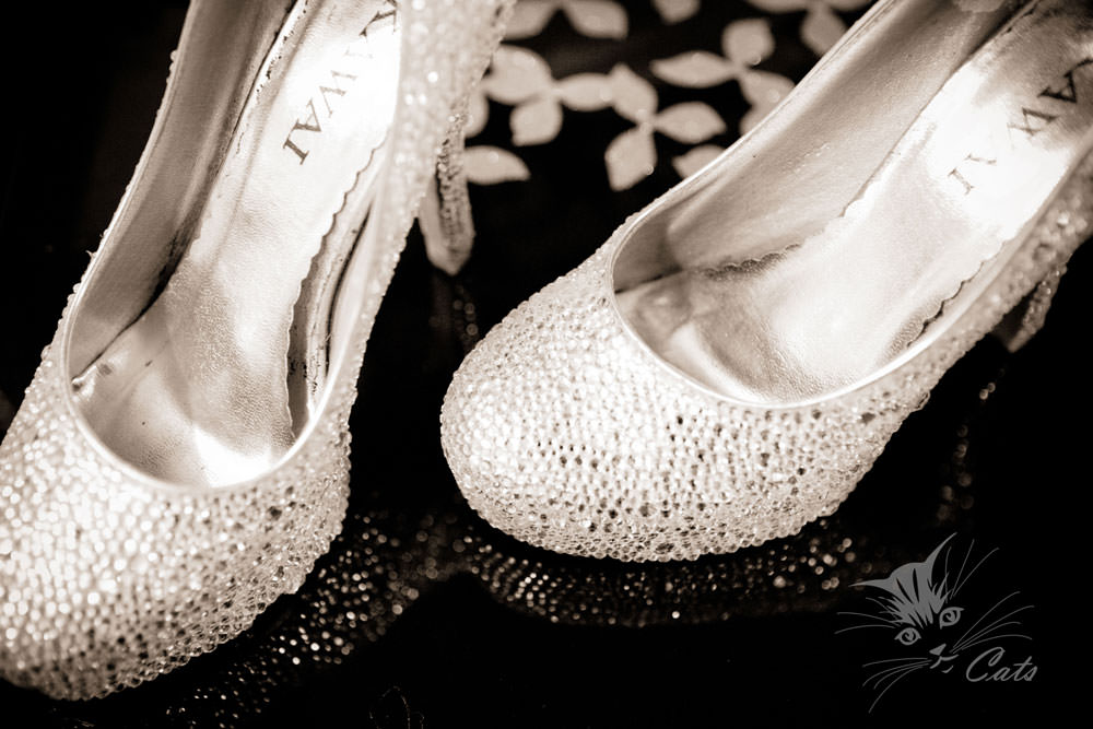 20241110-ly9ih 20241110-ly9ih