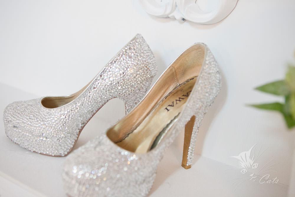 20241110-pt21g 20241110-pt21g