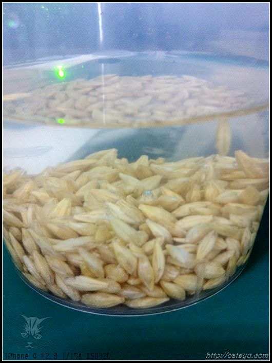 20241110-0v2ib 20241110-0v2ib