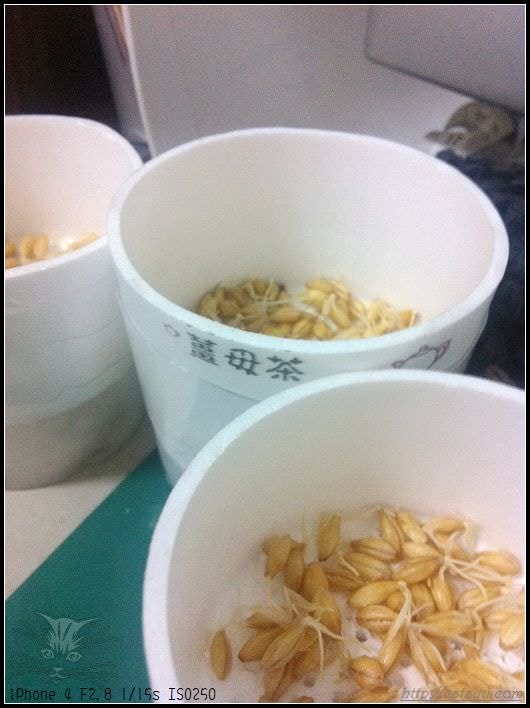 20241110-3zdaf 20241110-3zdaf