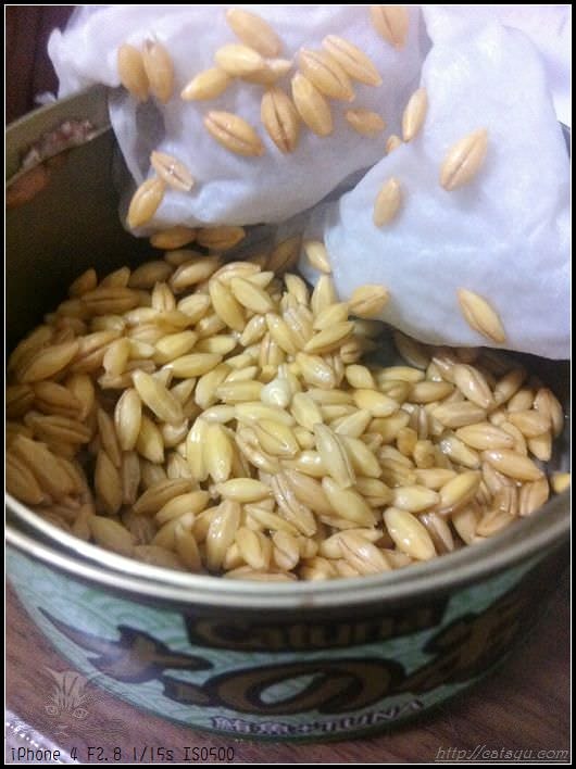 20241110-41x93-1 20241110-41x93-1