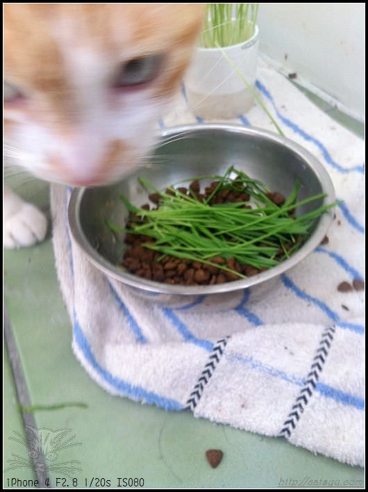 20241110-4q4mt 20241110-4q4mt