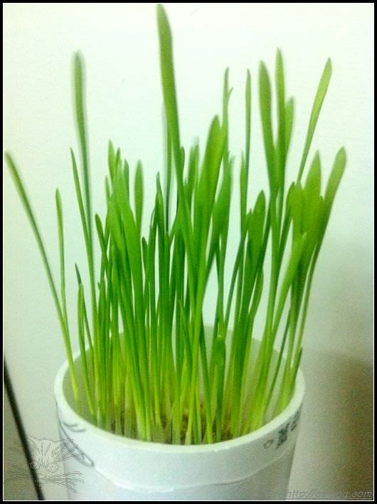 20241110-5j2z7 20241110-5j2z7