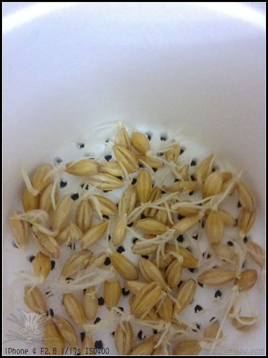 20241110-8y6ra 20241110-8y6ra