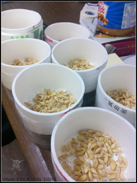 20241110-abbph 20241110-abbph