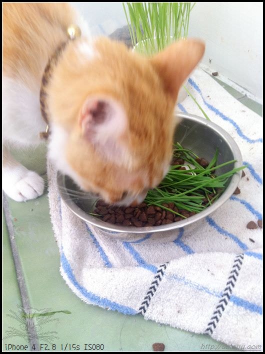 20241110-e7mw1 20241110-e7mw1