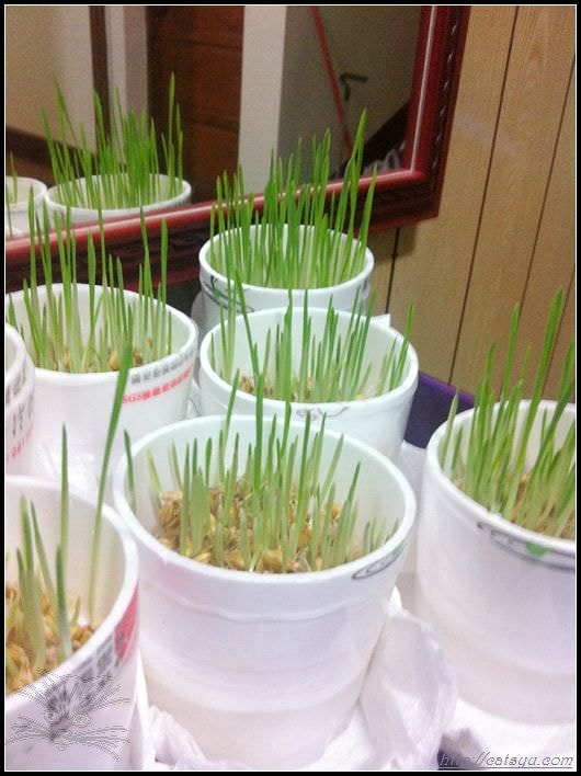 20241110-ebw91 20241110-ebw91