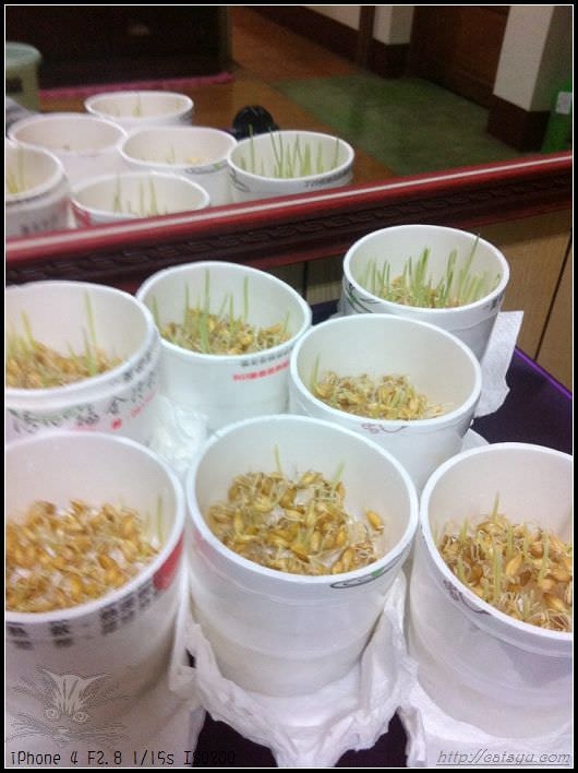 20241110-o7hww 20241110-o7hww