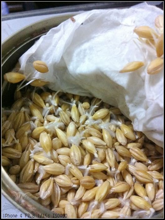 20241110-sksj2 20241110-sksj2