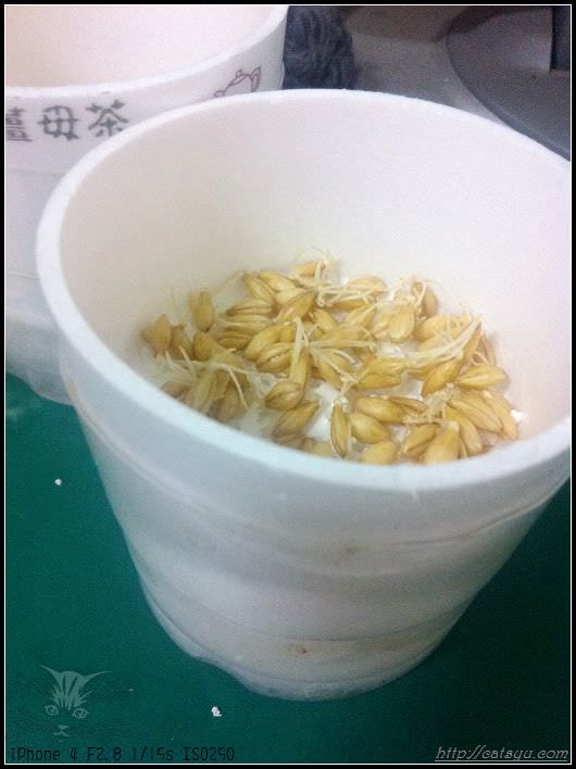 20241110-u6gm0 20241110-u6gm0