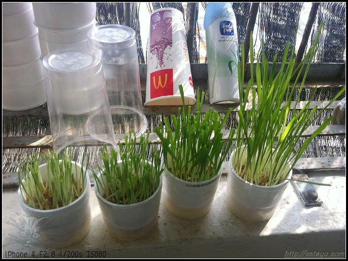 20241110-zyqg6 20241110-zyqg6