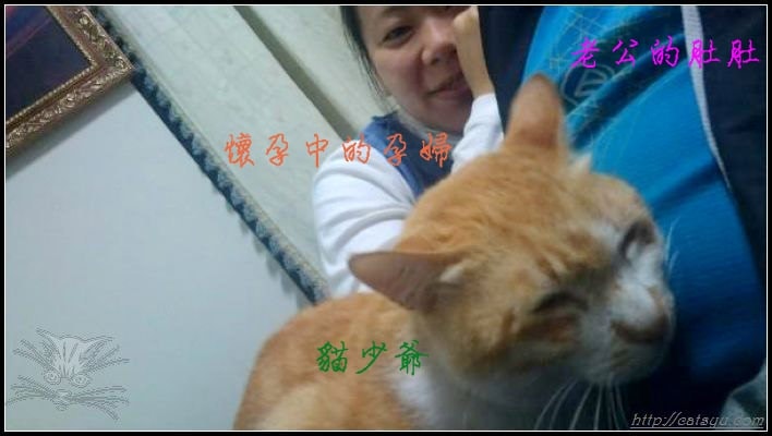 20241110-2vaxr 20241110-2vaxr