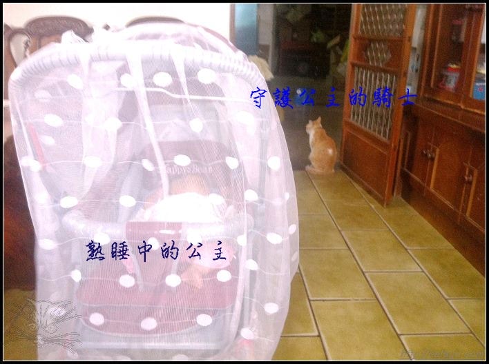 20241110-d79hx 20241110-d79hx